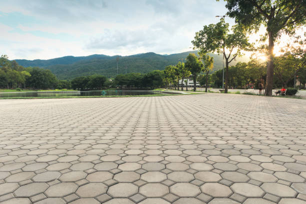 Best Best Driveway Pavers  in La Mesa, CA