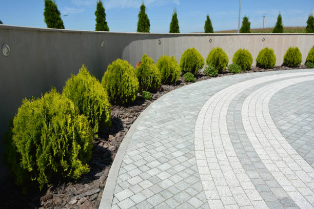 Best Custom Driveway Pavers  in La Mesa, CA